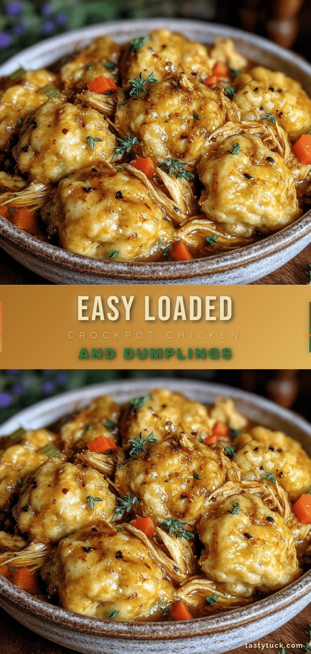 easy loaded chicken and dumplings crockpot recipe recipe