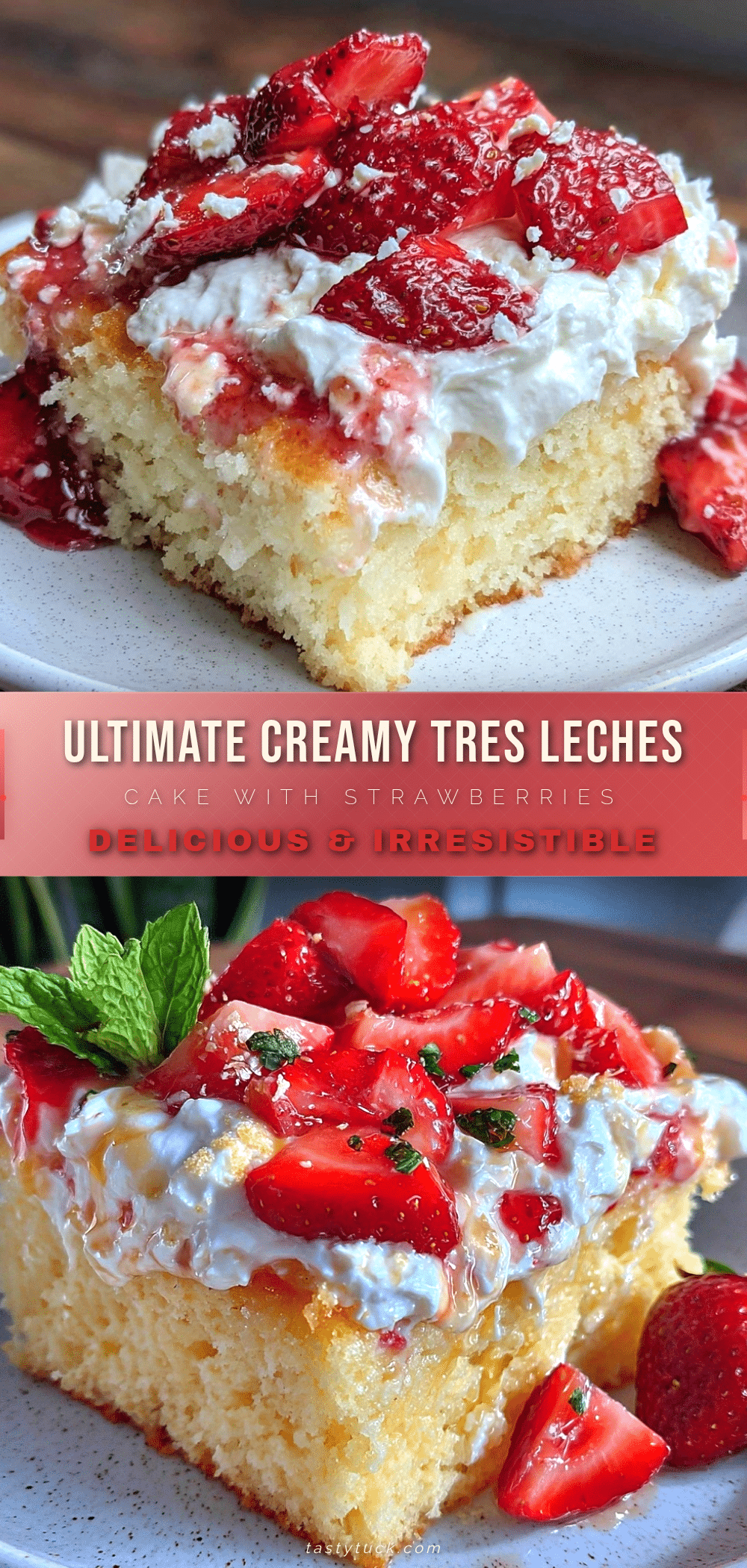 creamy tres leches cake recipe