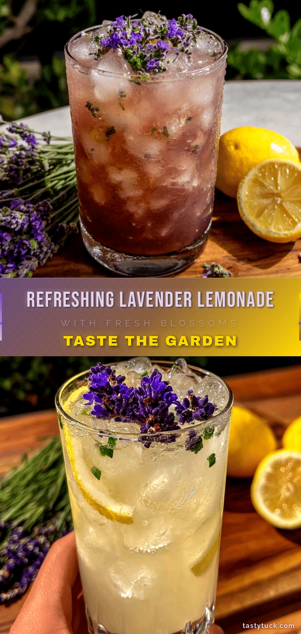 fresh lavender lemonade recipe