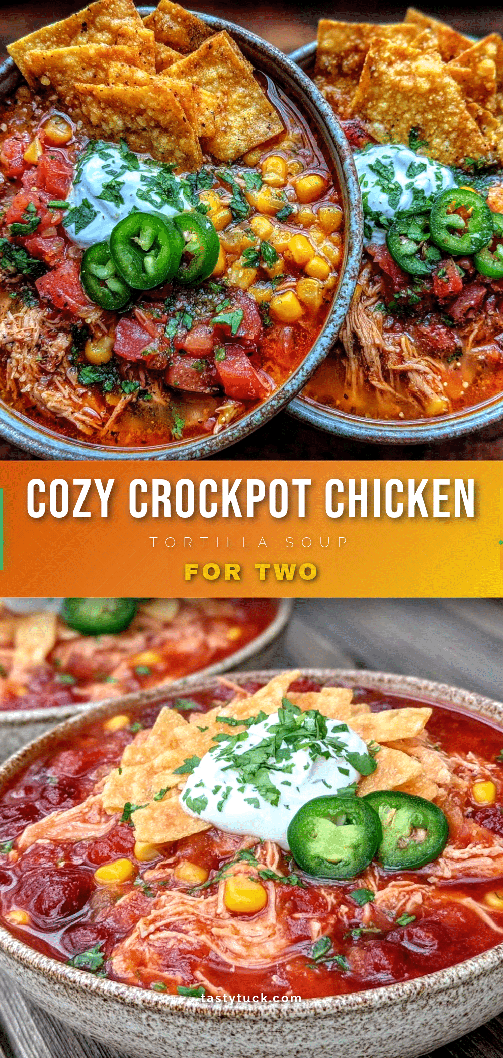 crockpot chicken tortilla soup for two recipe