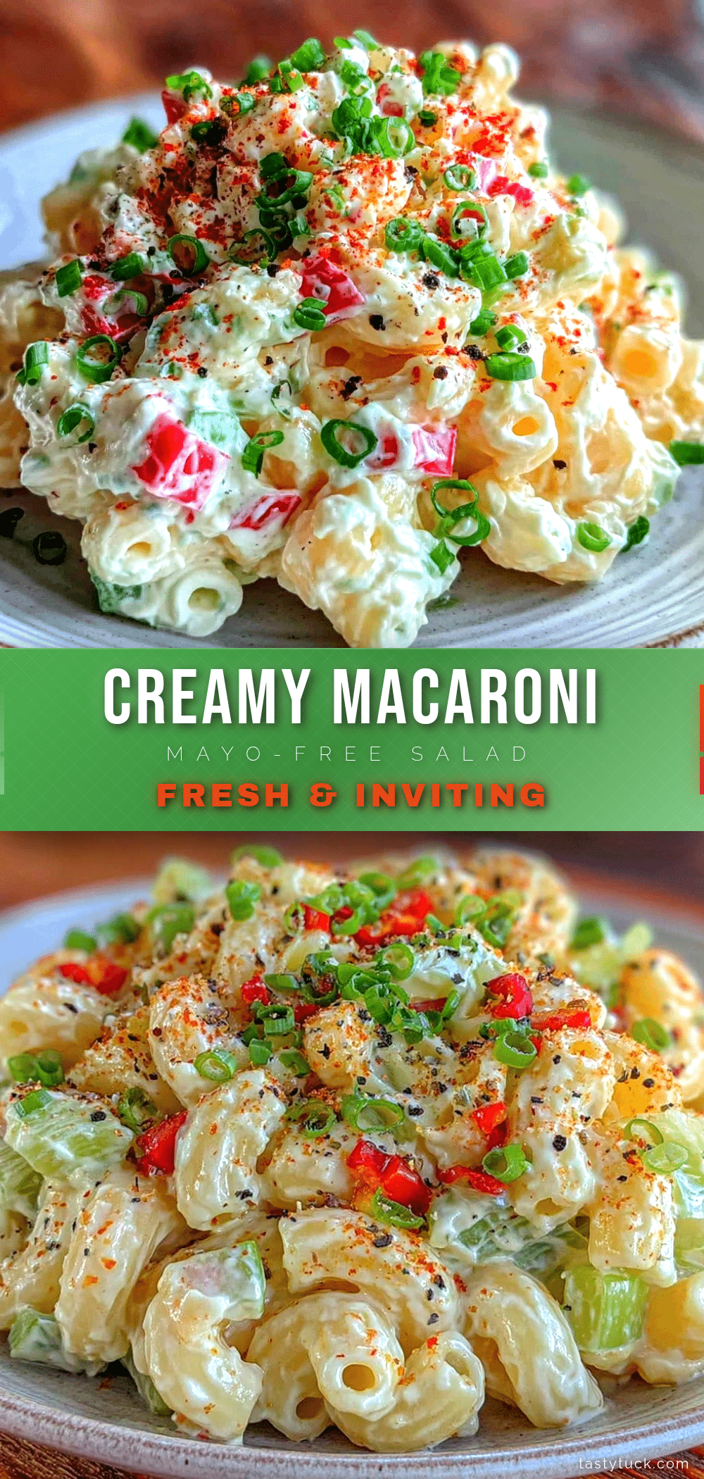 fresh creamy macaroni salad without mayo recipe