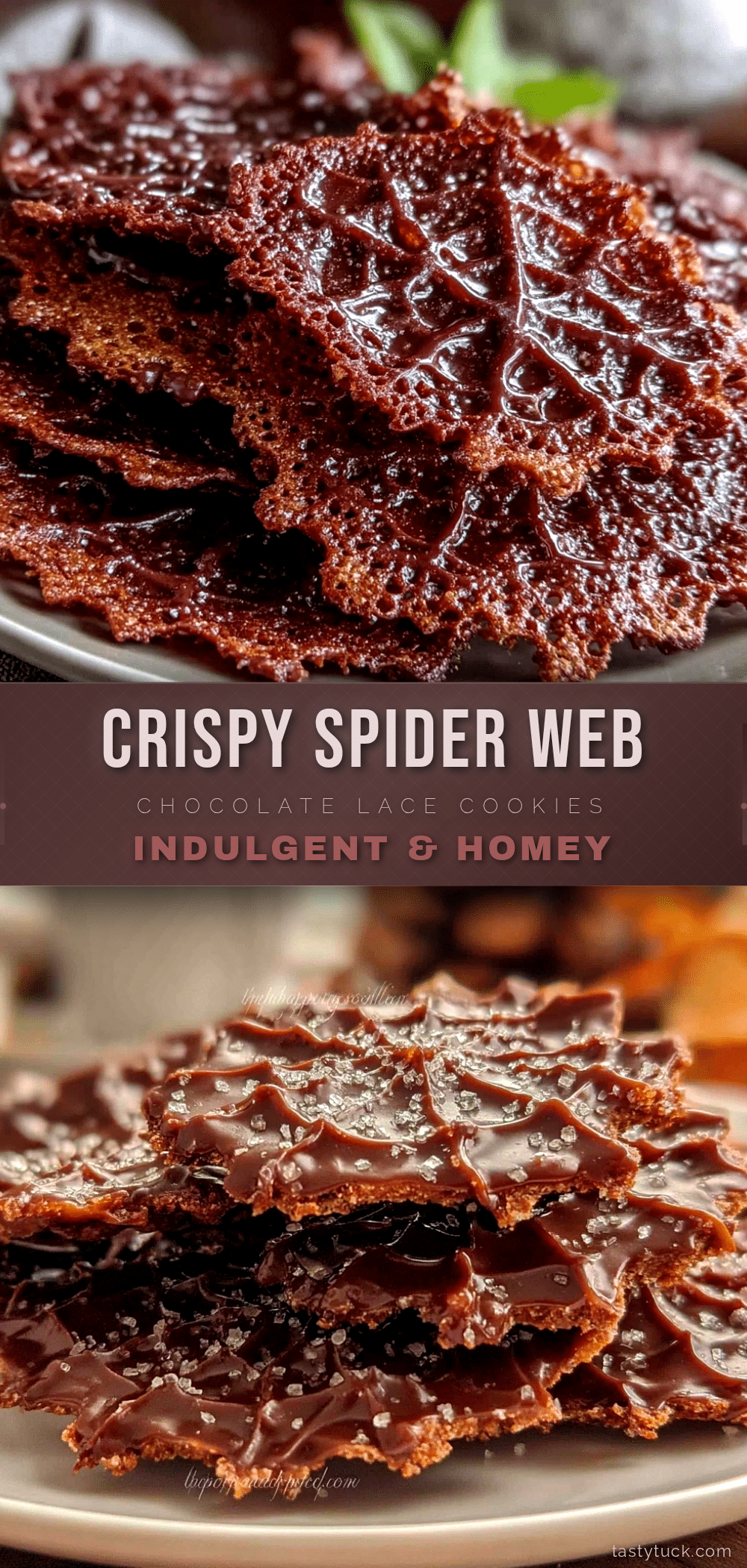 crispy spider web chocolate lace cookies recipe
