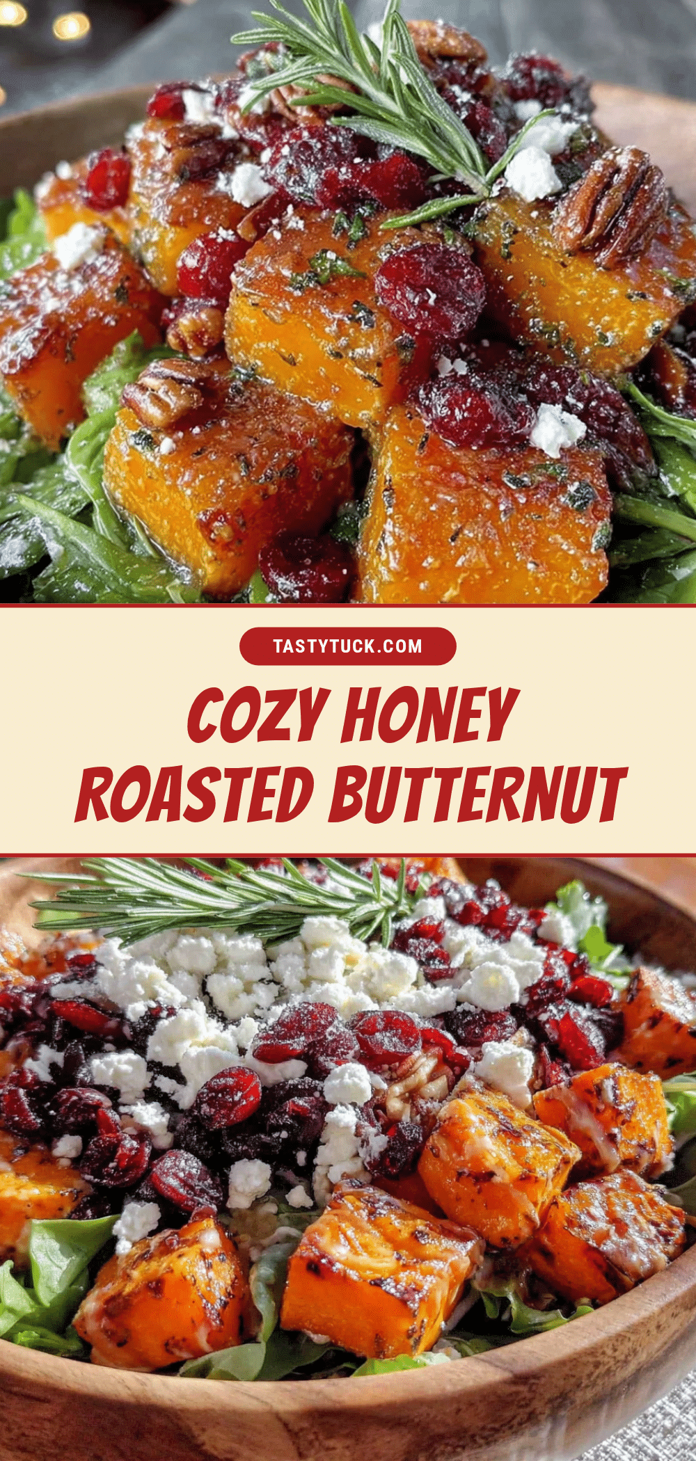 honey roasted butternut squash and cranberry salad recipe