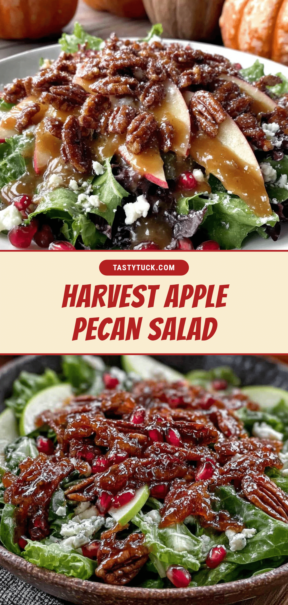 harvest apple pecan salad recipe
